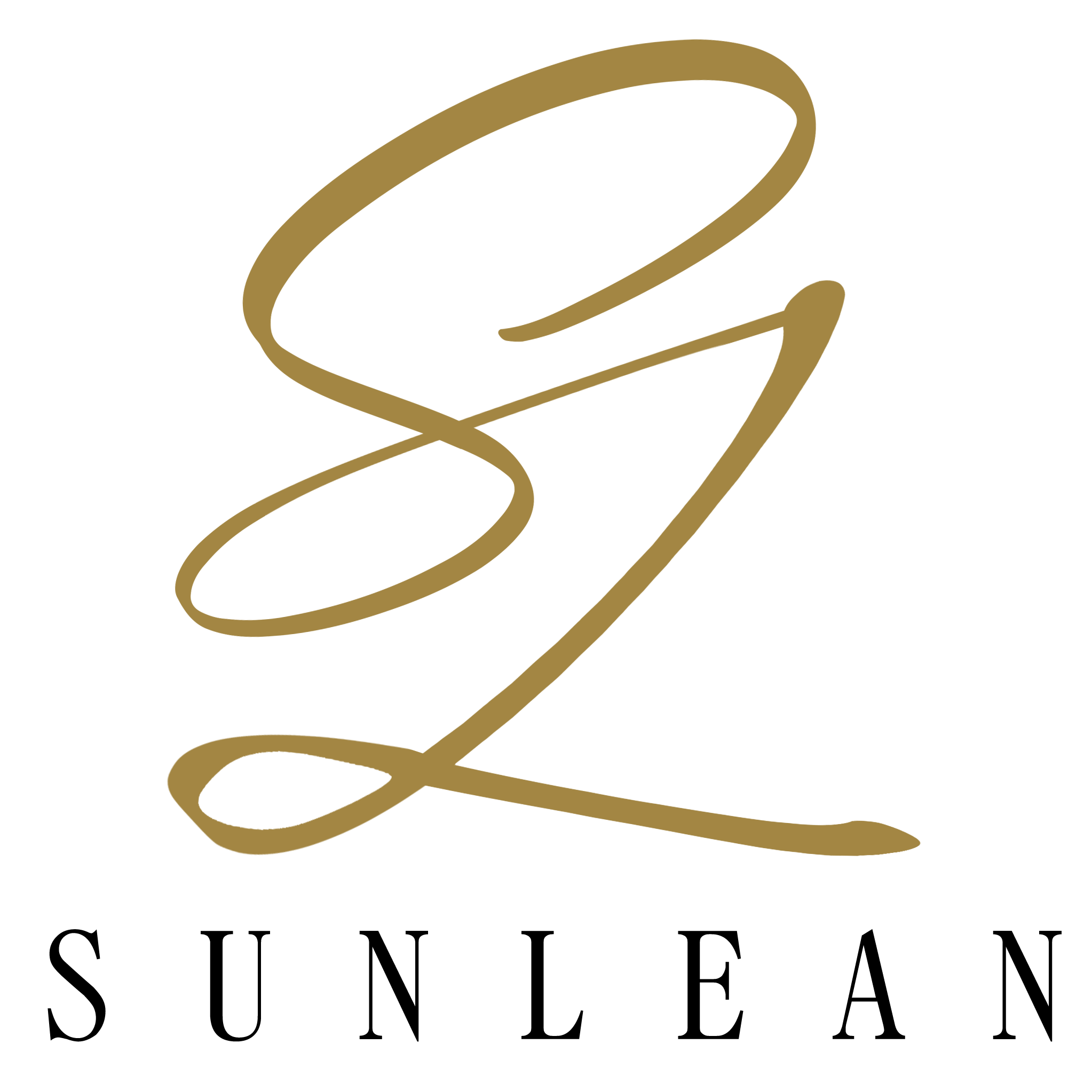 Site Logo (Dark)